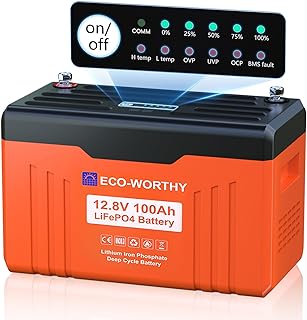 ECO-WORTHY 12V 100Ah LiFePO4 Bluetooth SOC Display