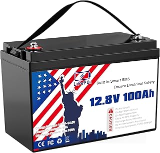 12.8V 100Ah Grade A LiFePO4 Group 31 Battery