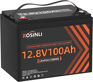 12V 100Ah BCI Group 24 LiFePO4 Battery with BMS