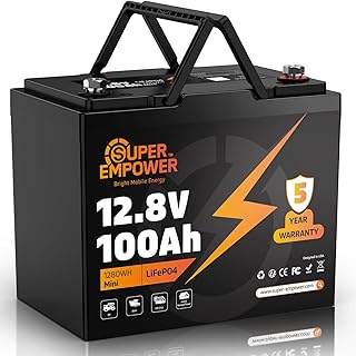 12V 100Ah LiFePO4 Group 24 with Low-Temp Protection