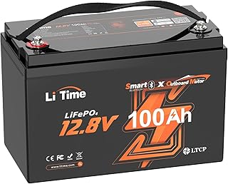 Litime 12V 100Ah Group 31 LiFePO4 Bluetooth Battery