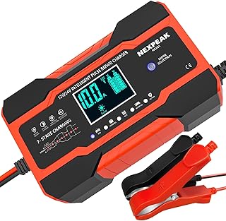 NEXPEAK NC201 10A 12V/24V Smart Charger