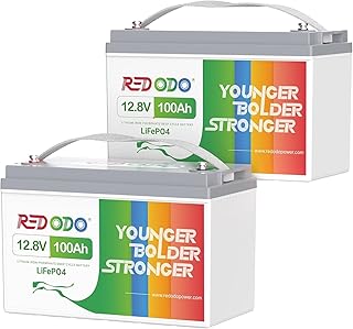 Redodo 2 Pack 12V 100Ah Group 31 LiFePO4 Batteries