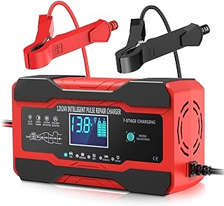 YONHAN 10A 12V/24V Automatic Battery Charger