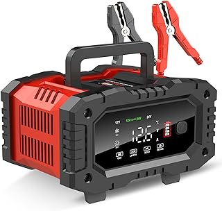 YONHAN 20A 12V/24V LiFePO4 Battery Charger